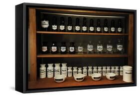 Pharmacy Jars-null-Framed Stretched Canvas