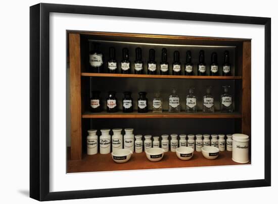 Pharmacy Jars-null-Framed Giclee Print