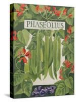 Phaseollus-Jennifer Abbott-Stretched Canvas