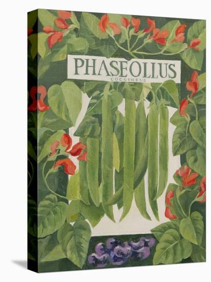 Phaseollus-Jennifer Abbott-Stretched Canvas