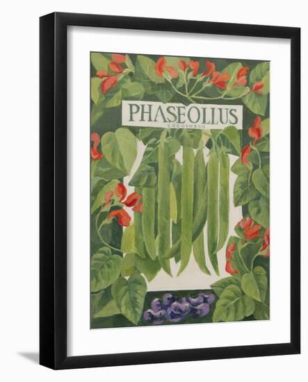 Phaseollus-Jennifer Abbott-Framed Giclee Print