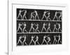 Phases in a Boxing Match-Eadweard Muybridge-Framed Giclee Print