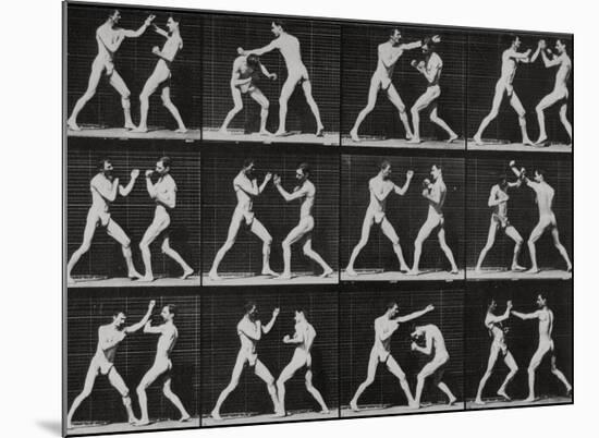 Phases in a Boxing Match-Eadweard Muybridge-Mounted Giclee Print