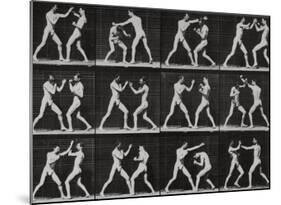 Phases in a Boxing Match-Eadweard Muybridge-Mounted Giclee Print