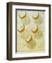 Phases of an eclipse-Science Source-Framed Giclee Print