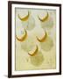 Phases of an eclipse-Science Source-Framed Giclee Print