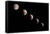 Phases of the Lunar Eclipse, 2021, New Mexico-Maresa Pryor-Luzier-Framed Stretched Canvas