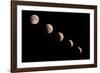 Phases of the Lunar Eclipse, 2021, New Mexico-Maresa Pryor-Luzier-Framed Photographic Print