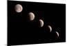 Phases of the Lunar Eclipse, 2021, New Mexico-Maresa Pryor-Luzier-Mounted Photographic Print