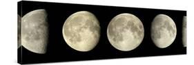 Phases of the Moon-Pekka Parviainen-Stretched Canvas