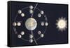 Phases of the Moon-null-Framed Stretched Canvas