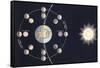 Phases of the Moon-null-Framed Stretched Canvas