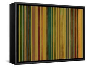 Phases-Maria Trad-Framed Stretched Canvas