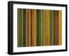 Phases-Maria Trad-Framed Giclee Print