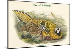 Phasianus Reevesii - Reeve's Pheasant-John Gould-Mounted Art Print