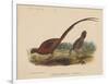 Phasianus Soemmeringh (Temminck), 1855-null-Framed Giclee Print