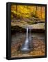Essential Black