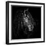 Black Frame