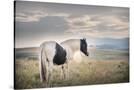 Stretched Canvas