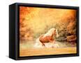 Canvas Black