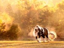 Horse Motion III-null-Photographic Print