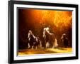 Gramercy Black
