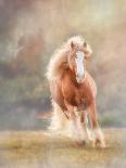 Horse Motion III-null-Photographic Print