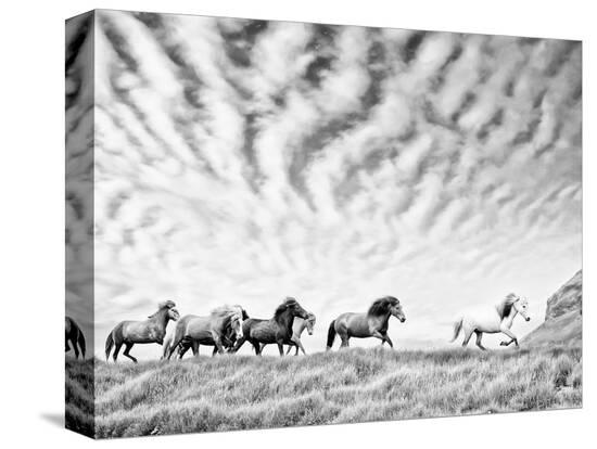 Stretched Canvas Print, , large