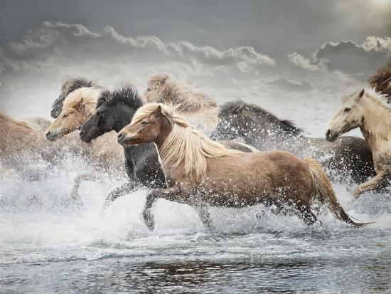 Premium Photographic Print, , large