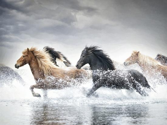 Premium Photographic Print, , large