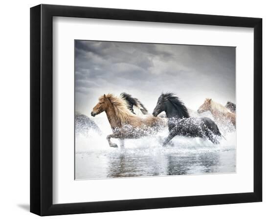 Photographic Print, , large
