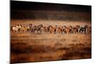 Wood Mount