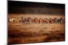 Wood Mount