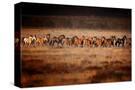 Stretched Canvas
