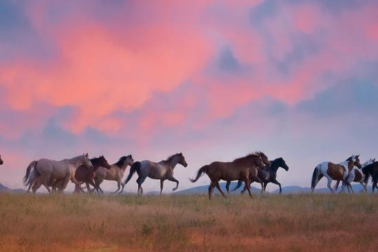 Premium Photographic Print, , large