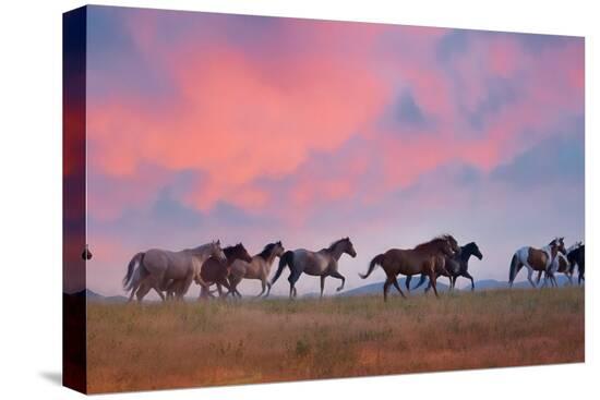 Stretched Canvas Print, , large