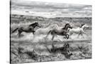 Stretched Canvas