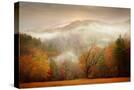 Stretched Canvas