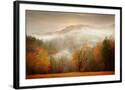 Chelsea Black