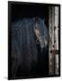 Gramercy Black