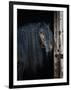 Gramercy Black