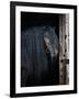 Gramercy Black