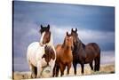 Stretched Canvas