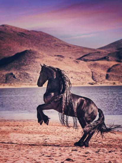 Premium Photographic Print, , large