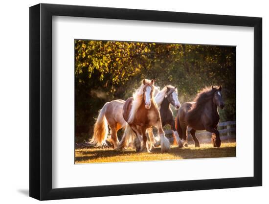 Premium Photographic Print, , large