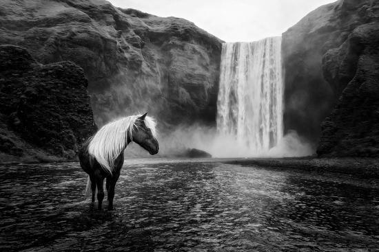 Photographic Print, , large