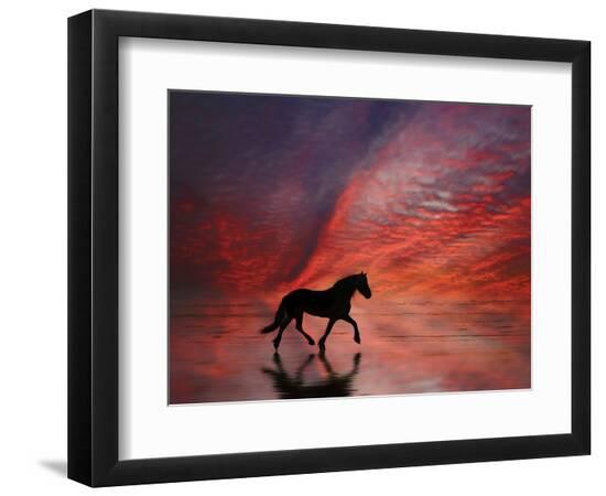 Photographic Print, , large