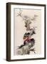 Pheasant, 1832-Witherby & Co-Framed Giclee Print