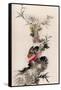 Pheasant, 1832-Witherby & Co-Framed Stretched Canvas