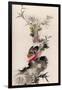 Pheasant, 1832-Witherby & Co-Framed Giclee Print